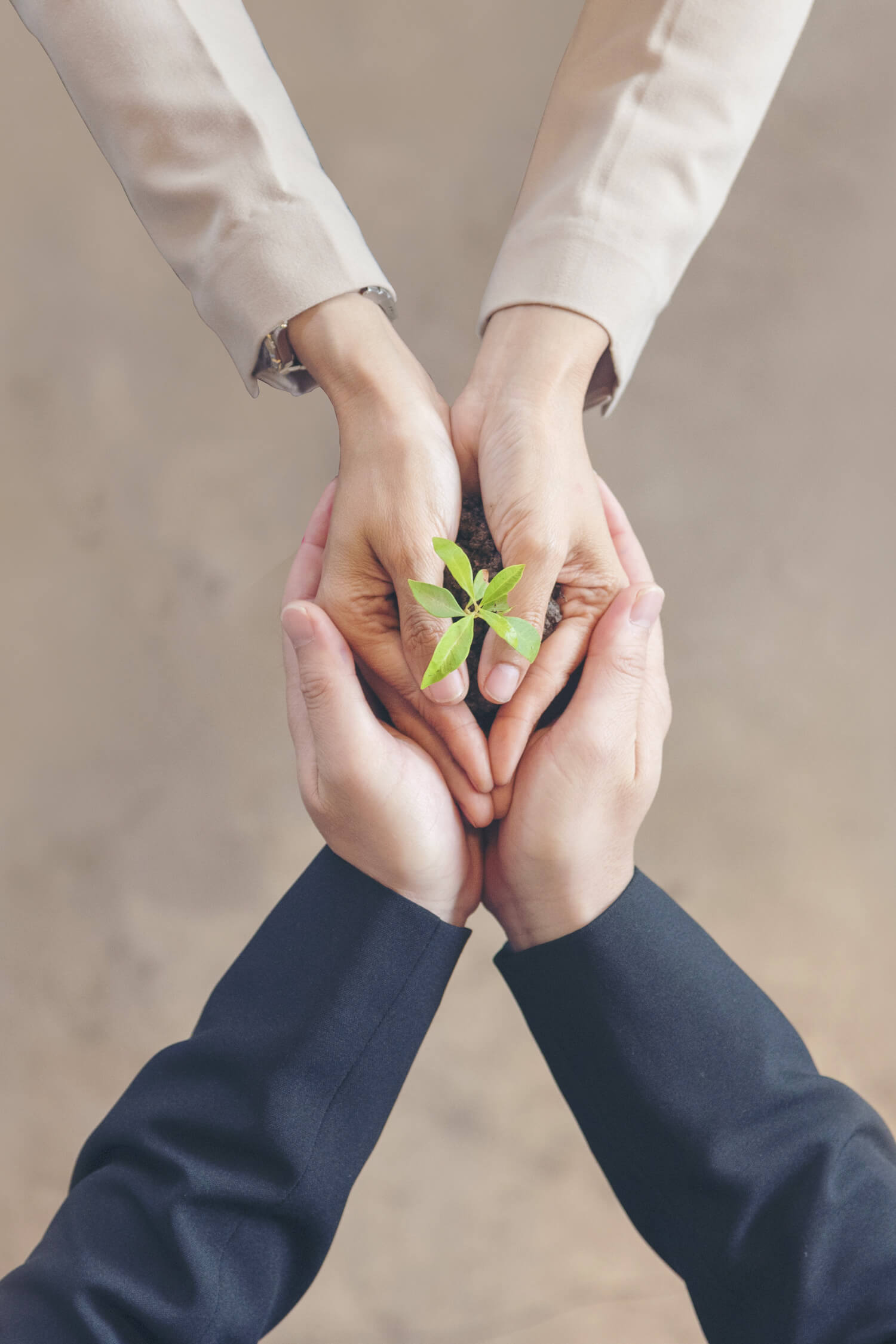 Two people togehter holding a plant in their hands